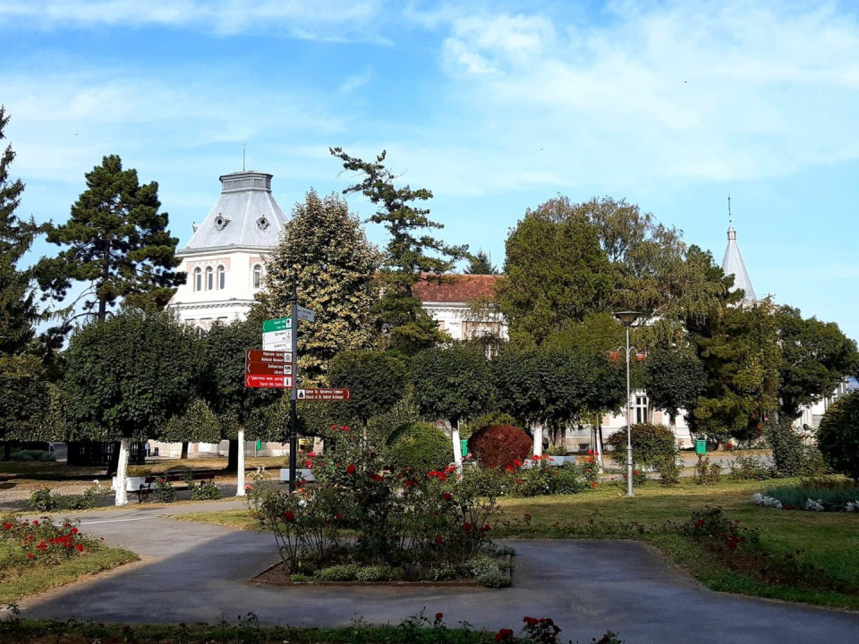 Foto/T.S. Veliko Gradište /park
