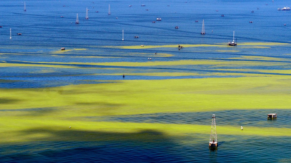 Lake Maracaibo