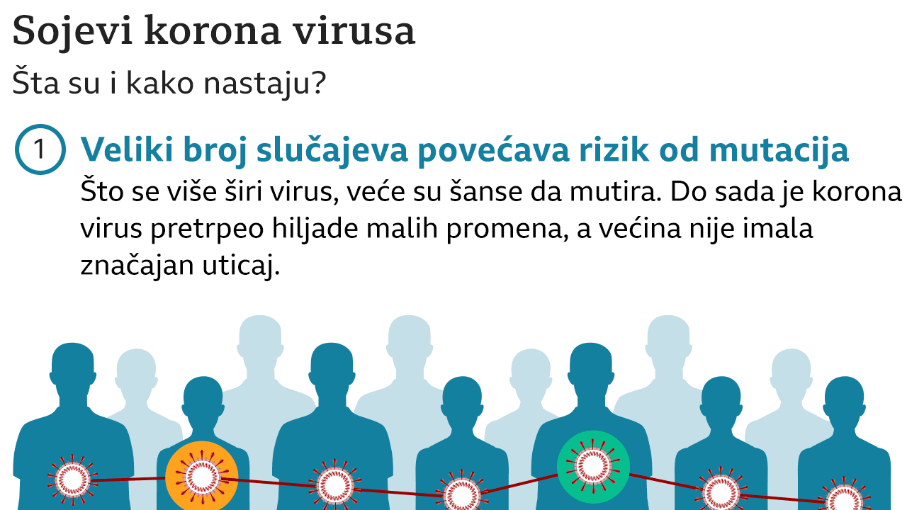 Sojevi