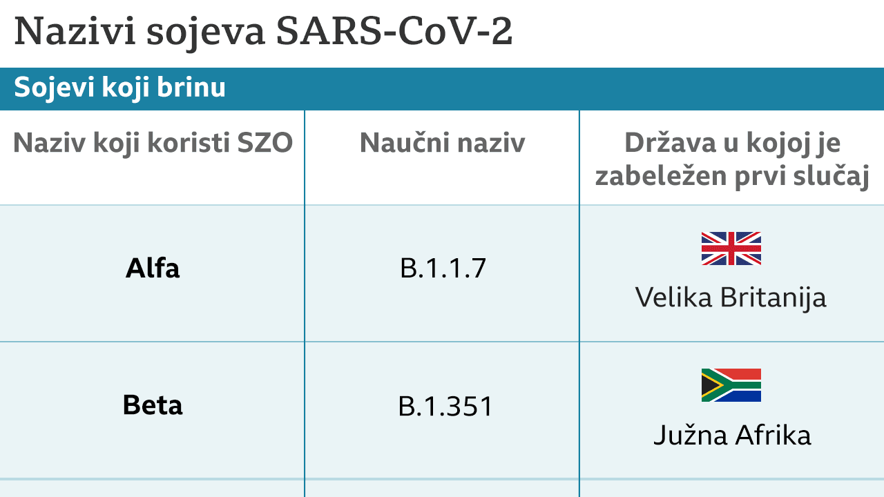 sojevi