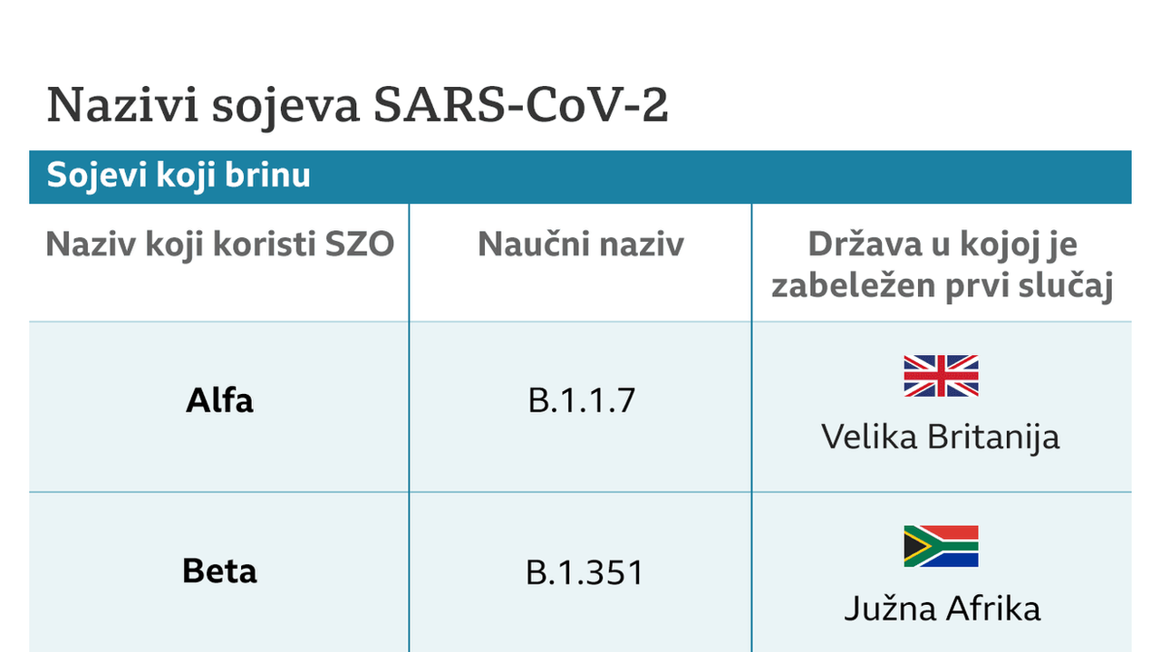 sojevi
