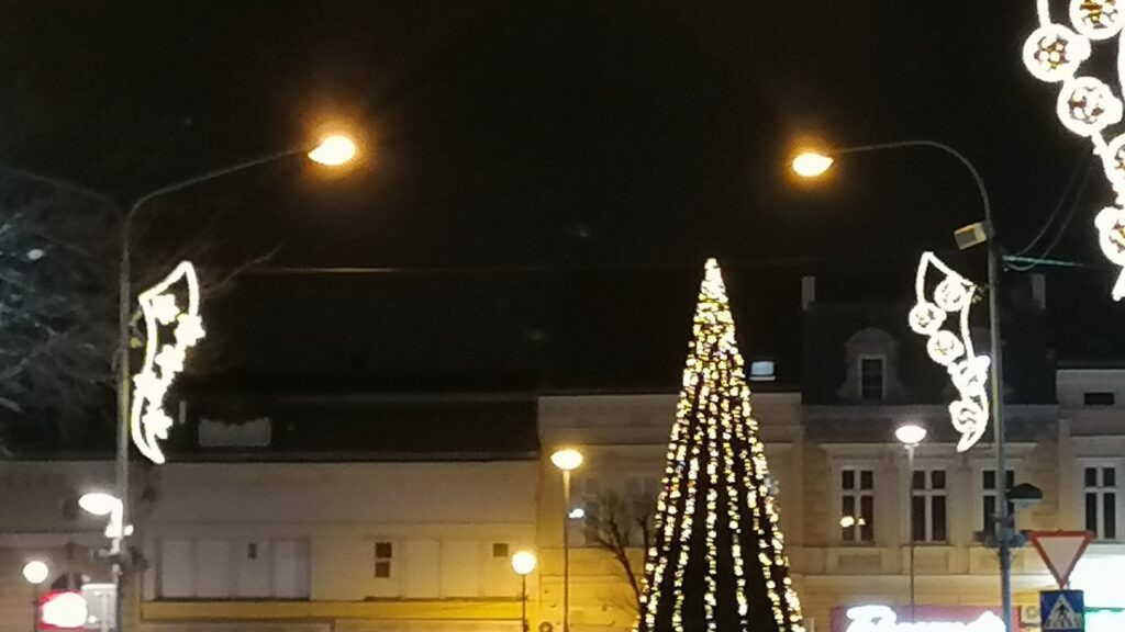 jelka na kružnom toku