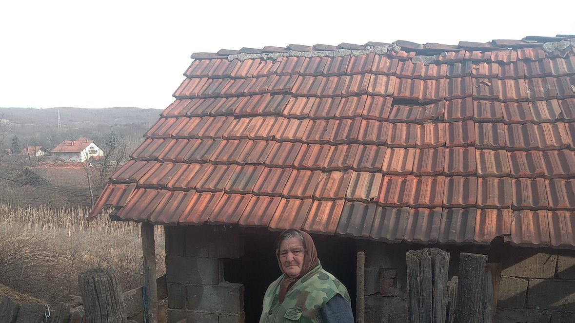 slavka jović