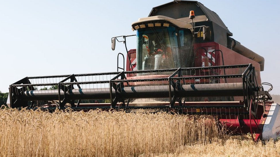 Harvester in Kharhiv region of Ukraine