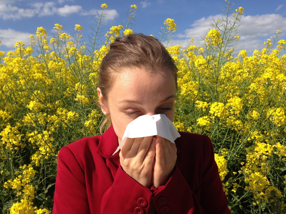 foto/ ilustracija Alergija na polen 
