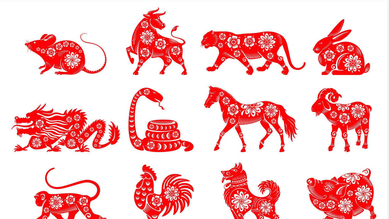 The 12 signs of the Chinese zodiac