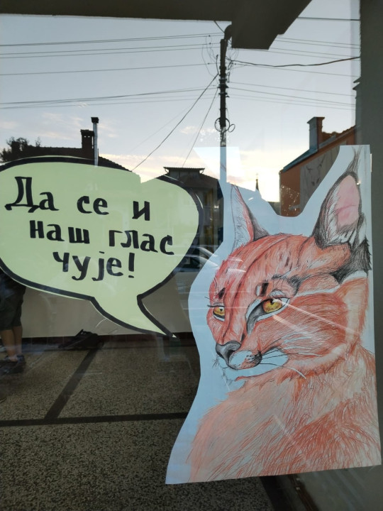 Foto: Z.Lujić

