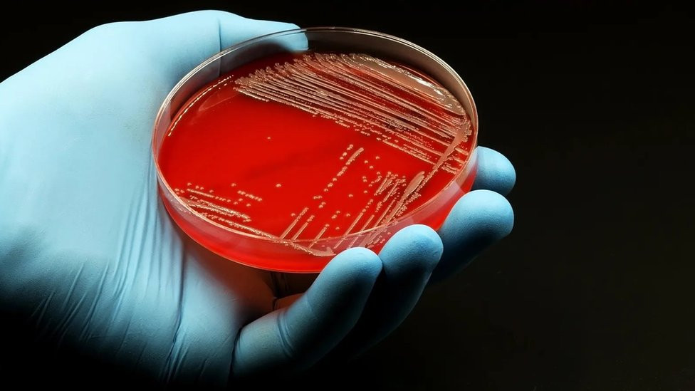 Antibiotici