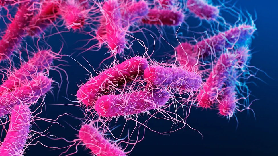 Antibiotici
