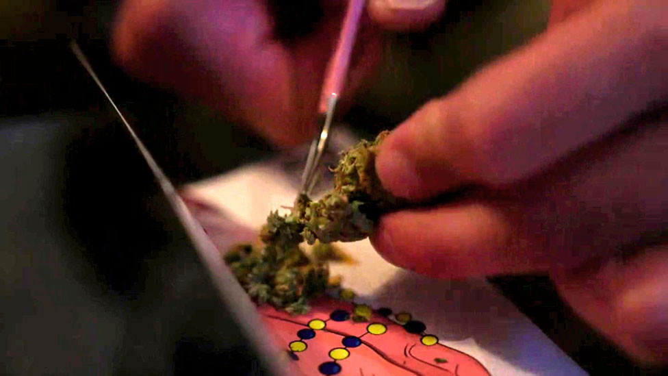 trava, kanabis, marihuana