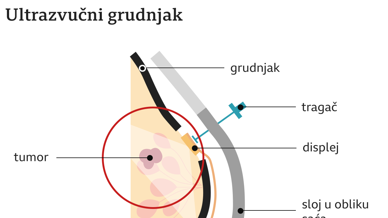 grafika