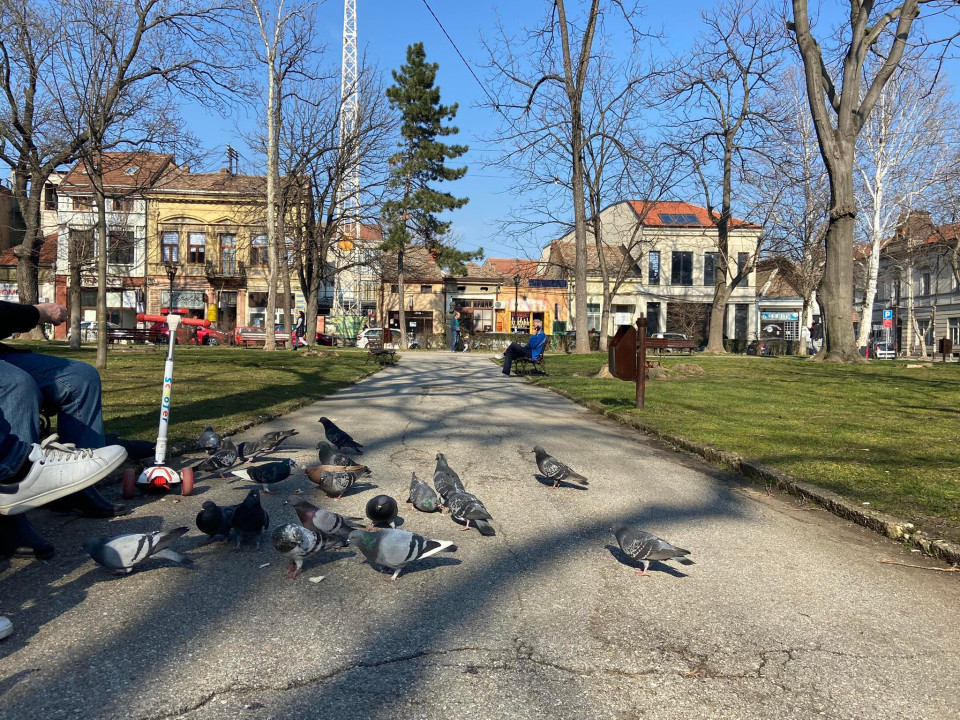 FOTO: A. Stepanović
