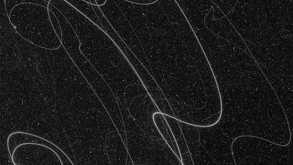 Star loops