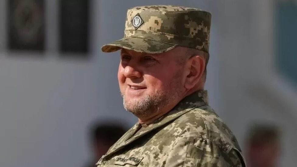 Zalužnji