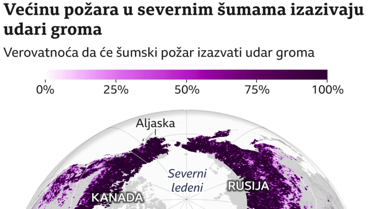 Prikaz šuma na severu planete