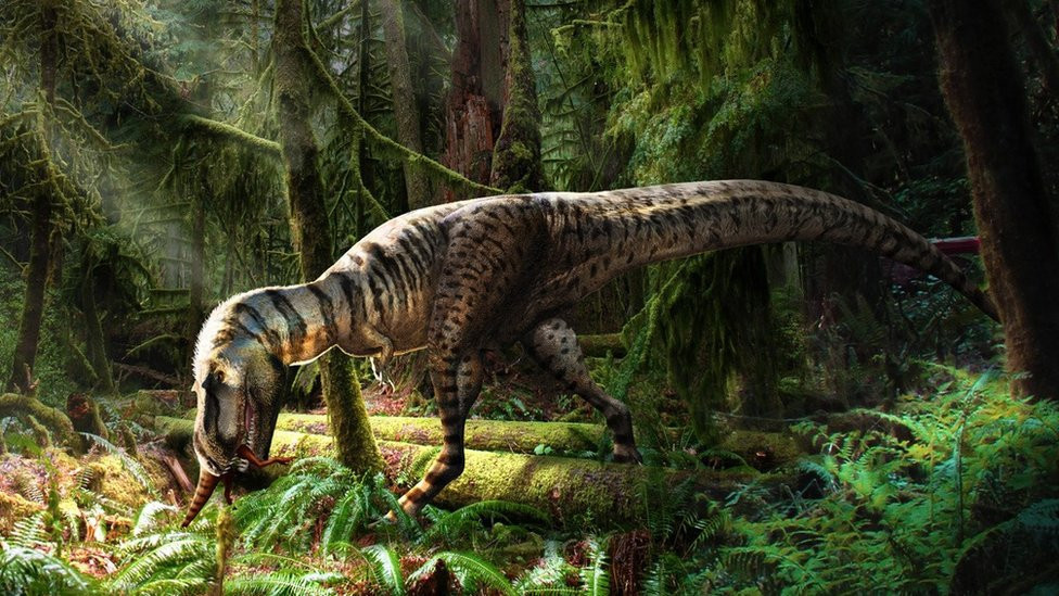 Mladi gorgosaurus, ilustracija