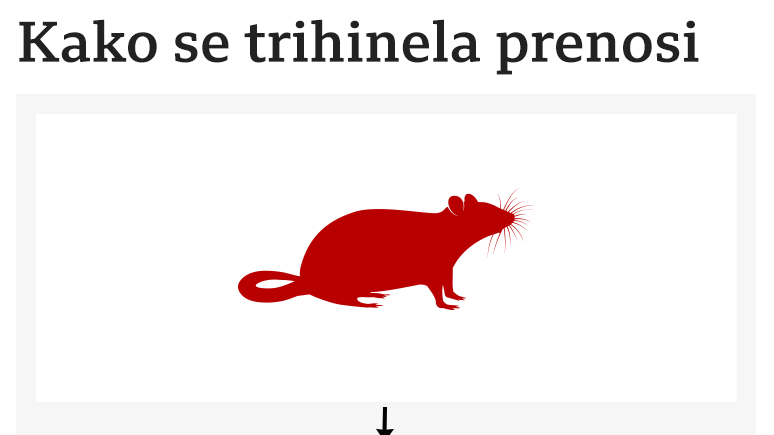 Infografika trihineloza