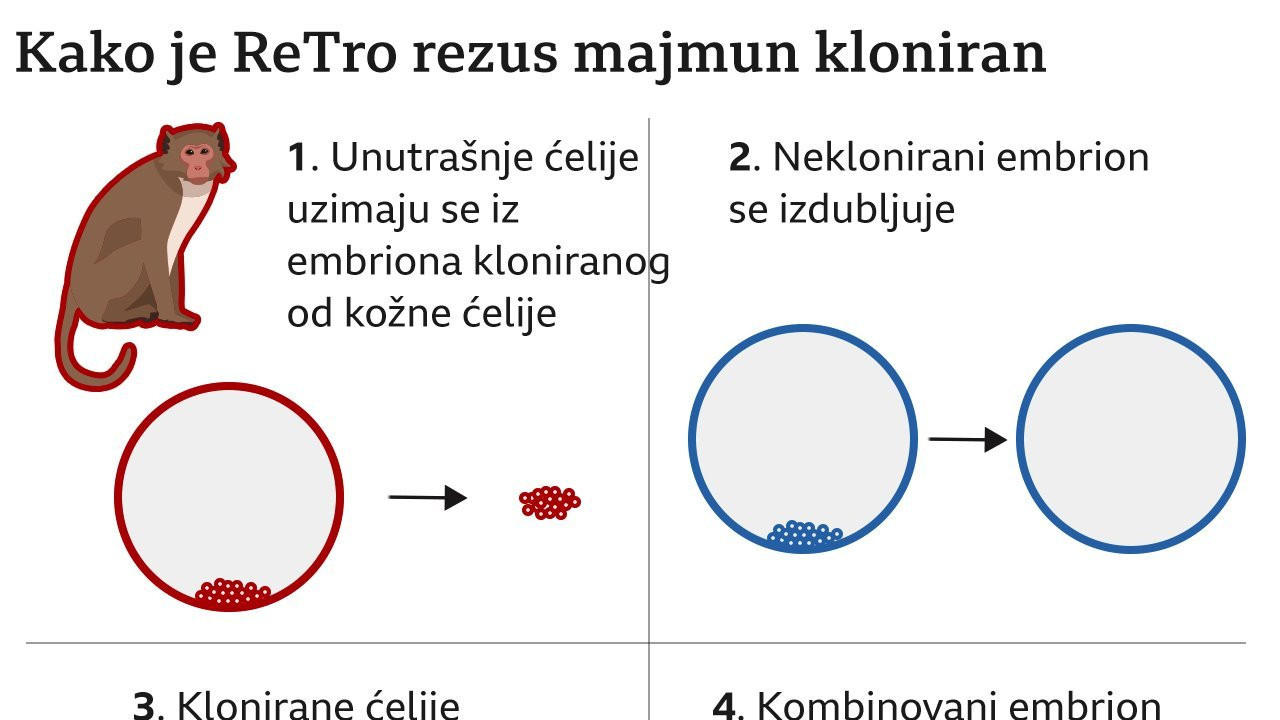 grafika kloniranja