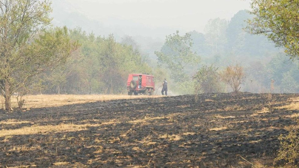 požar, šumski požar u Srbiji, požar na Vidliču