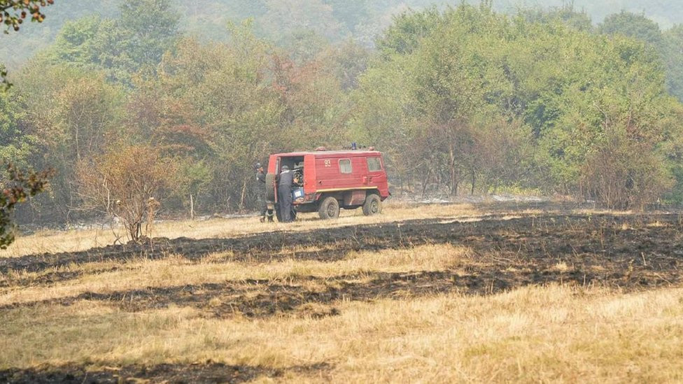 požar, šumski požar u Srbiji, požar na Vidliču