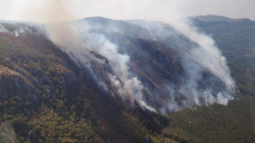 požar, šumski požar u Srbiji, požar na Vidliču