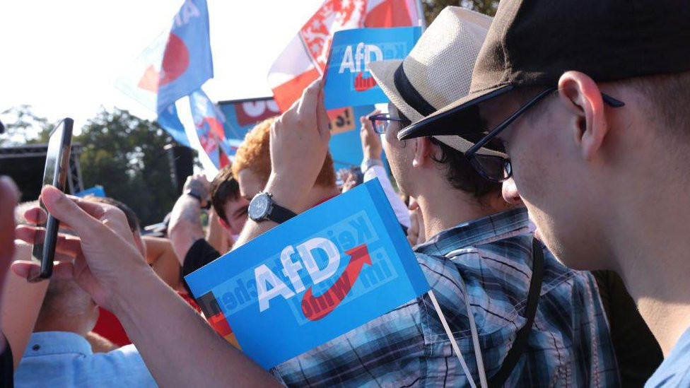 Ljudi sa zastavicama AfD-a na jednom od mitinga u Nemačkoj