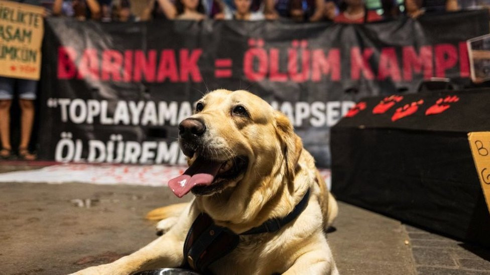 U Turskoj je održano više protesta zbog novog zakona