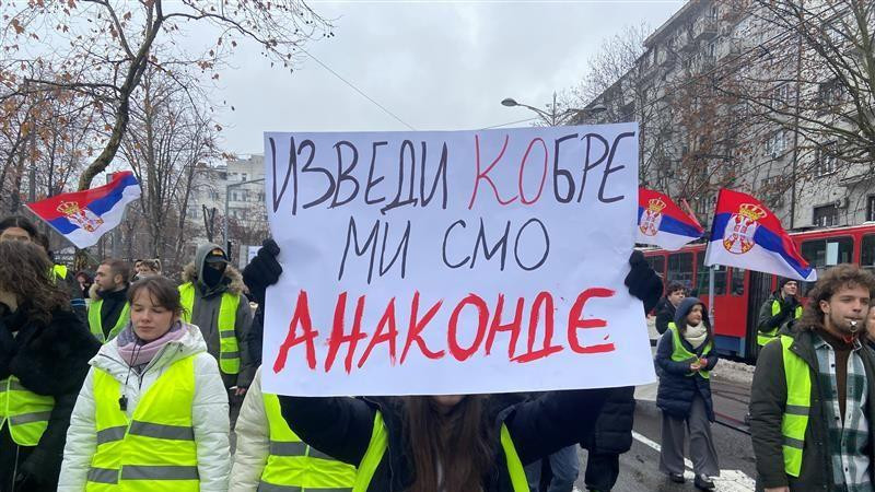 transparent na studentskom protestu „Izvedi kobre, mi smo anakonde"