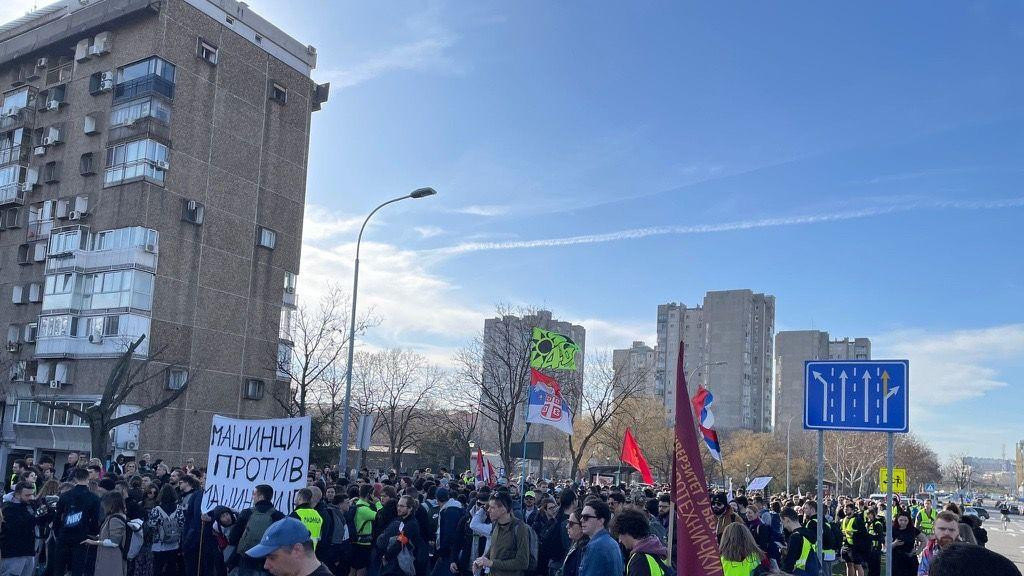 studenti, studentska šetnja do novog sada