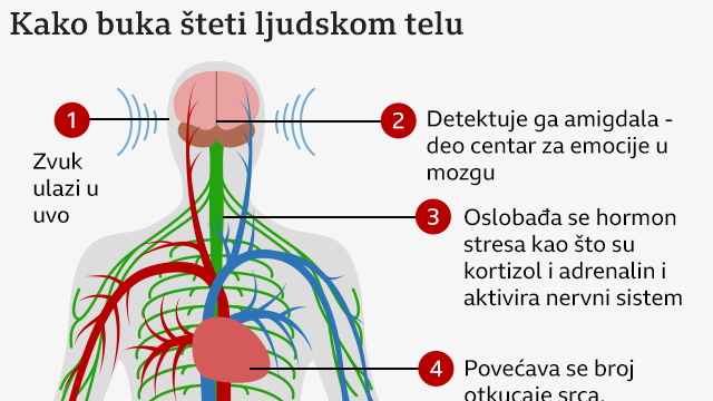 kako buka šteti ljudskom telu