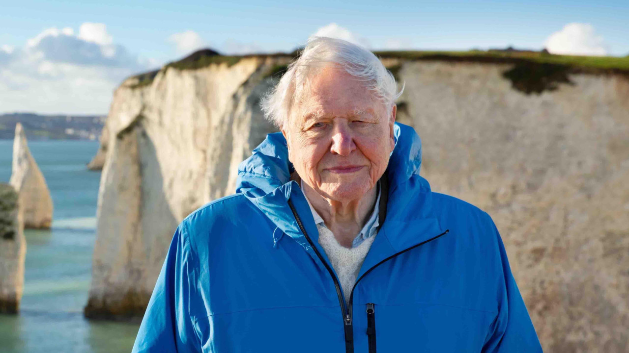 
                    Sir David Attenborough wearing a blue zip jacket looks at the camera with a blue sea and a white cliff behind him. Sun shines on his face making him squint his eyes sligh