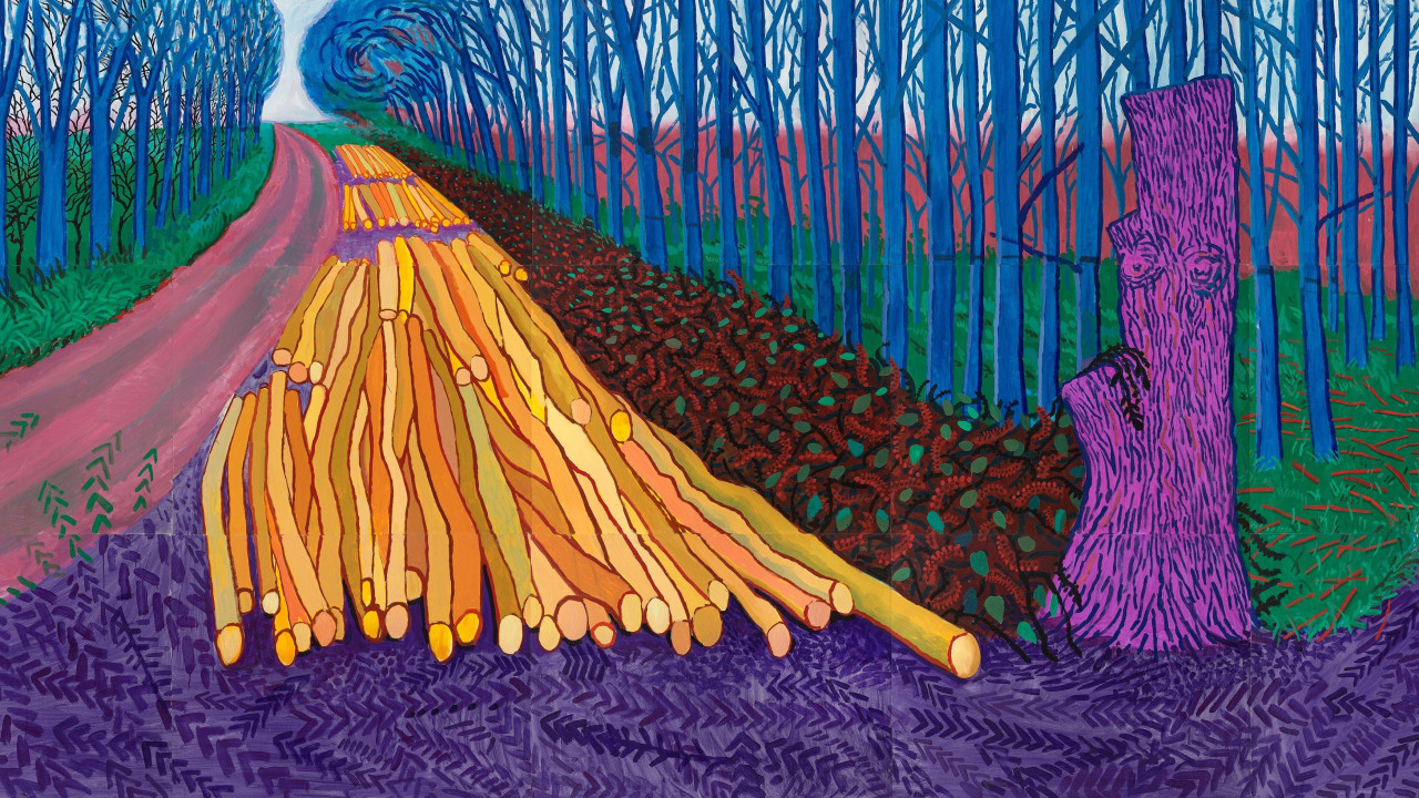 „Zimska drva za potpalu“ (2009) Dejvida Hoknija