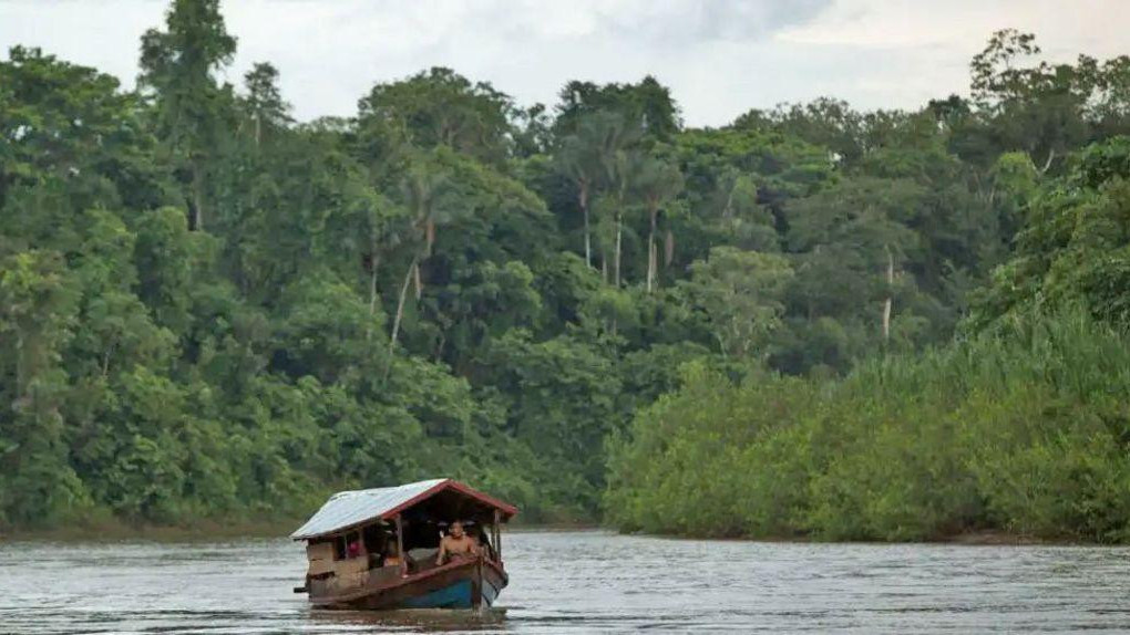 Amazonija