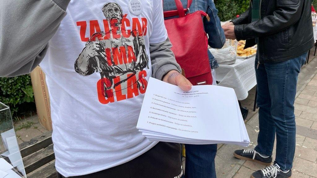 studenti, studentski protest, Zaječar, lokalni izbori