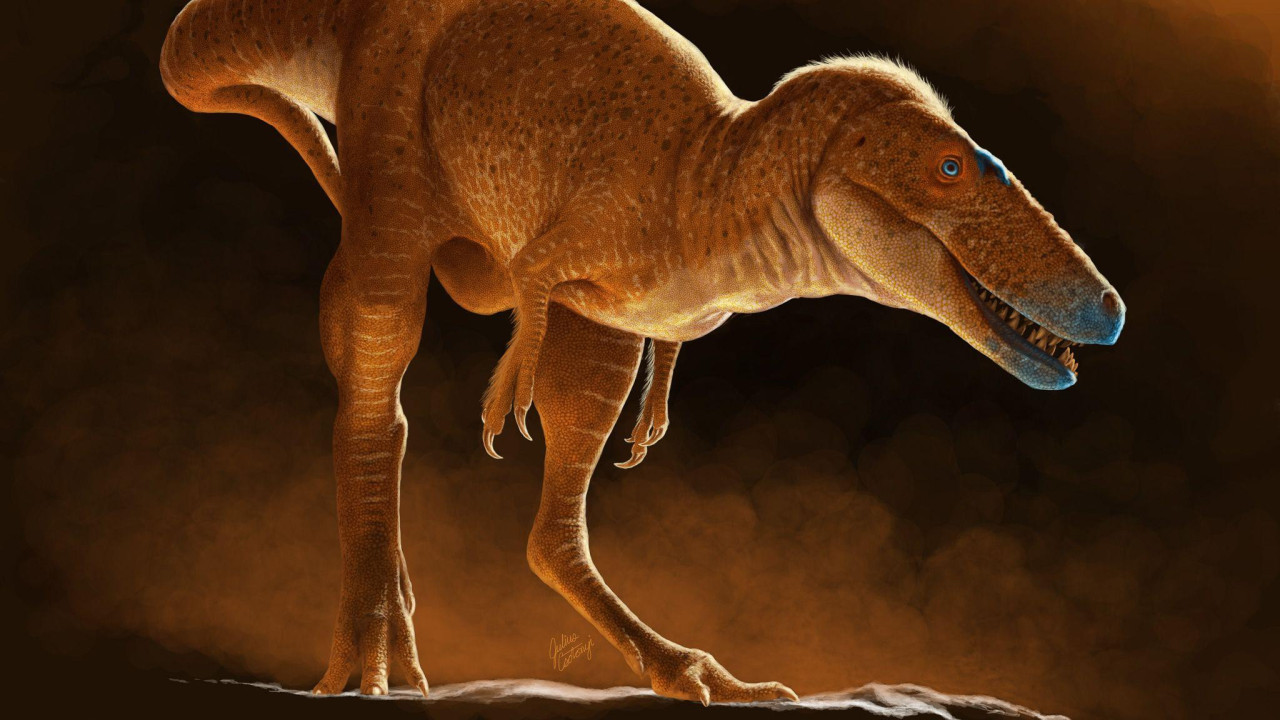 dinosaurus, dinosaurusi, ti reks