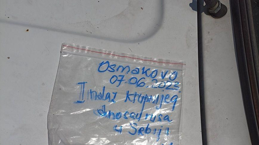 Prvi nalaz sauropoda