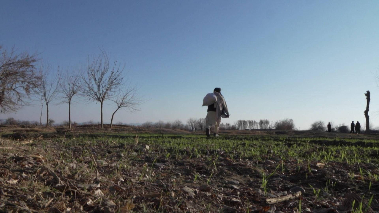 Helmand 