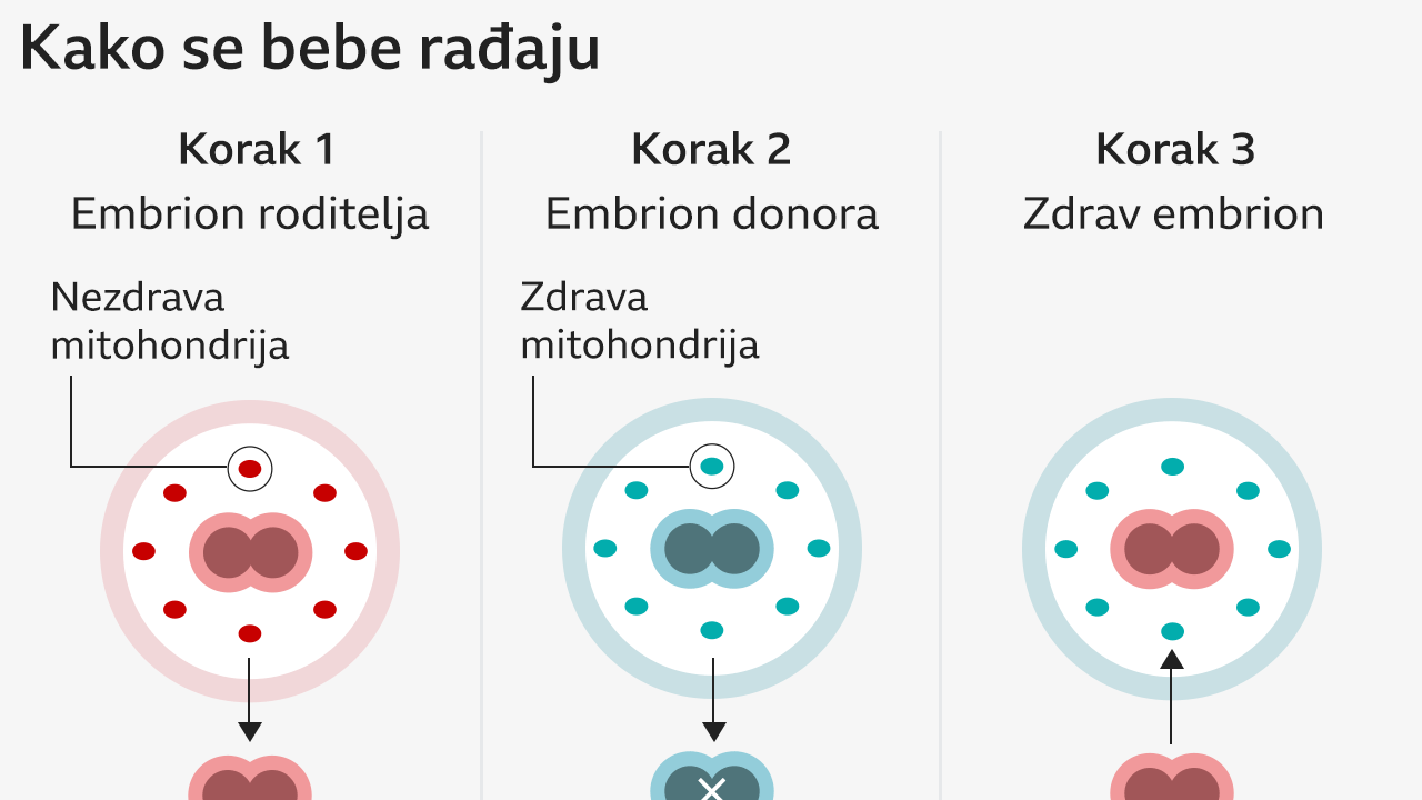 grafika