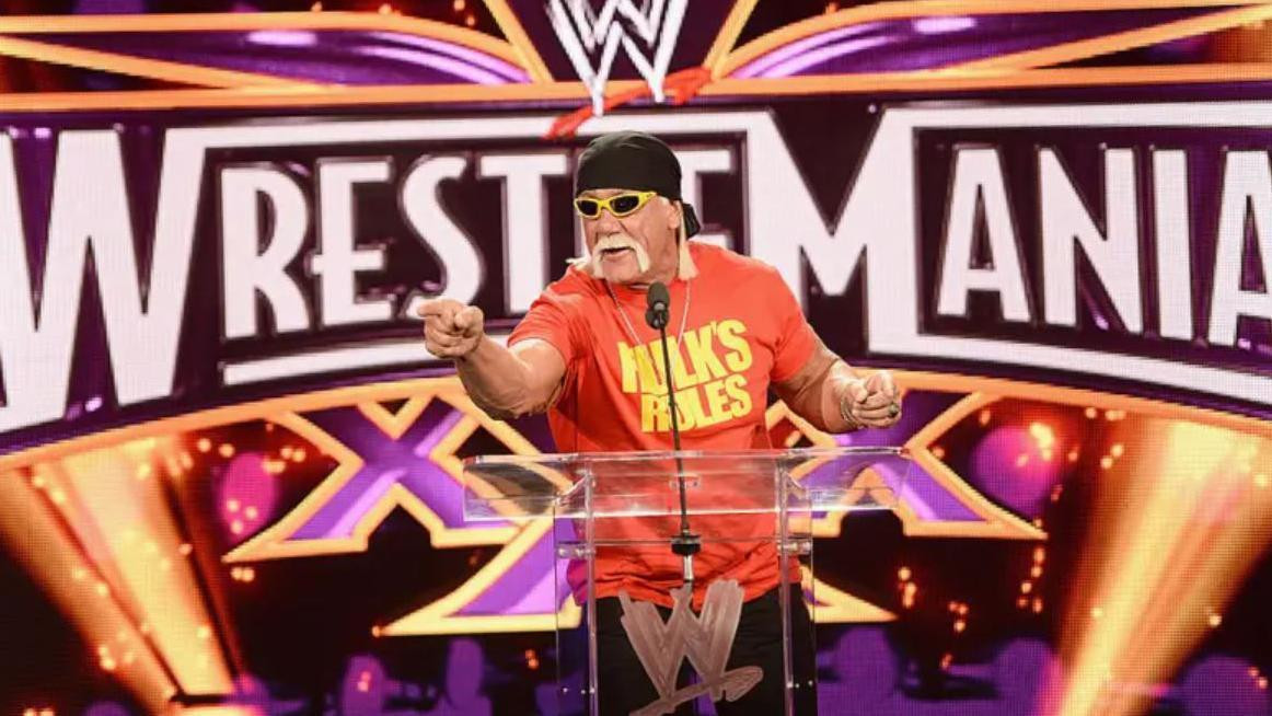 Hulk Hogan na Reslmaniji 2014. godine
