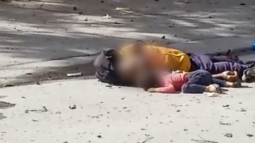 Skrinšot na kojem se vide telo muškarca i deteta na ulici. Lica su im blurovana. Devojčica je u roze majici i plavim pantalonama, a muškarac u žutoj košulji i plavim pantalonama 