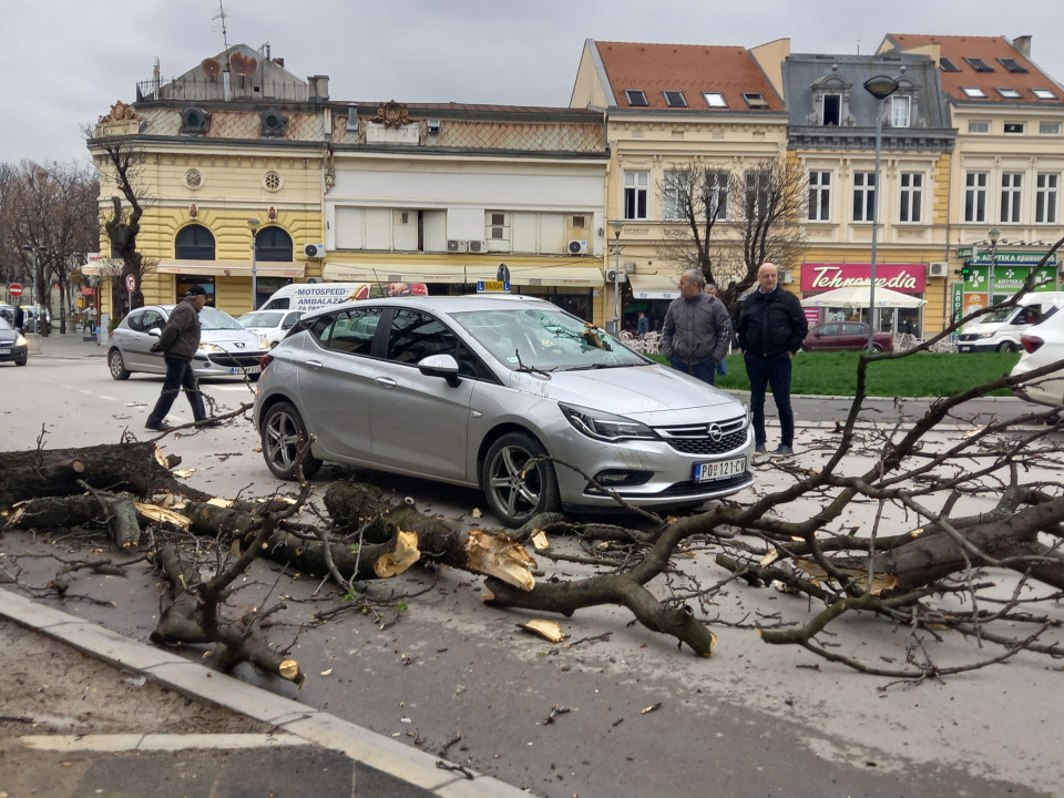 Foto: N. Stojićević/Boom93