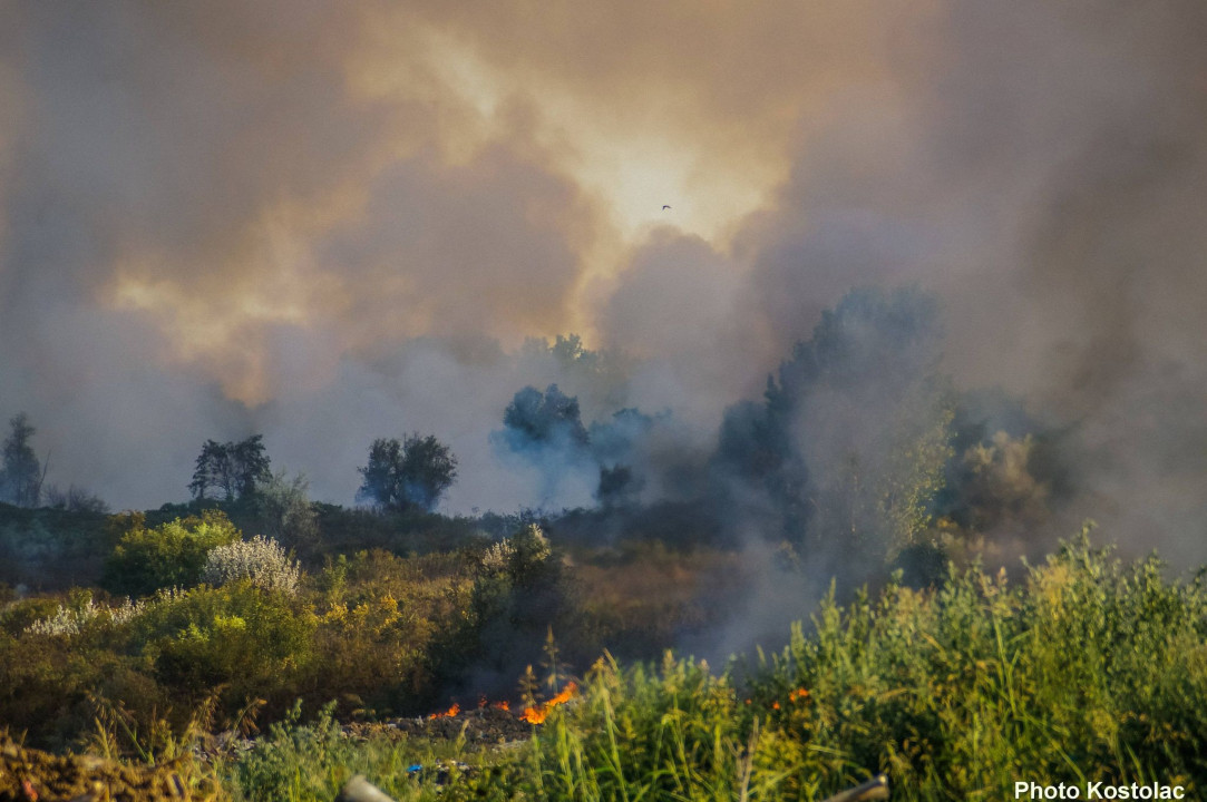 Foto/ požar gori nisko rastinje i trava