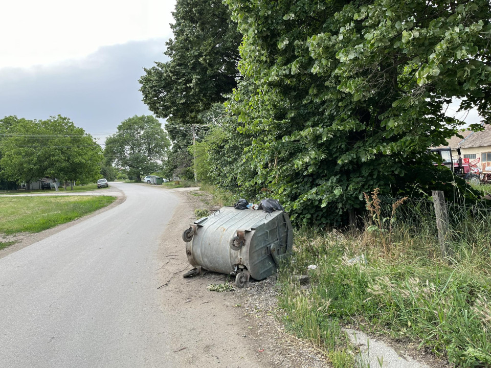 Sliku poslala Maja