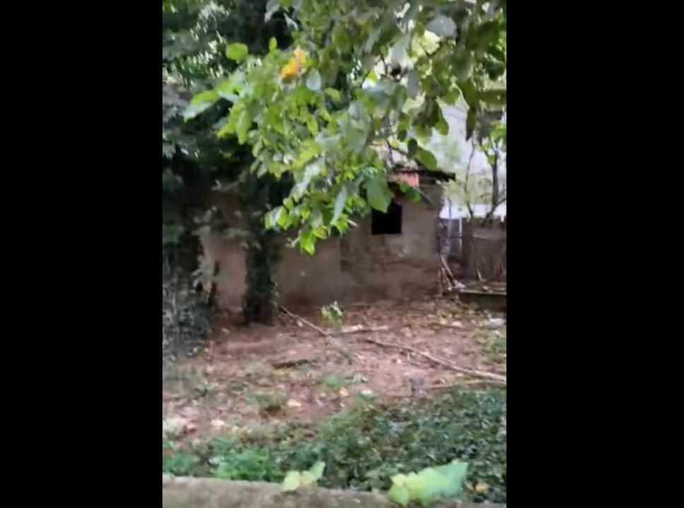 Youtube screenshot