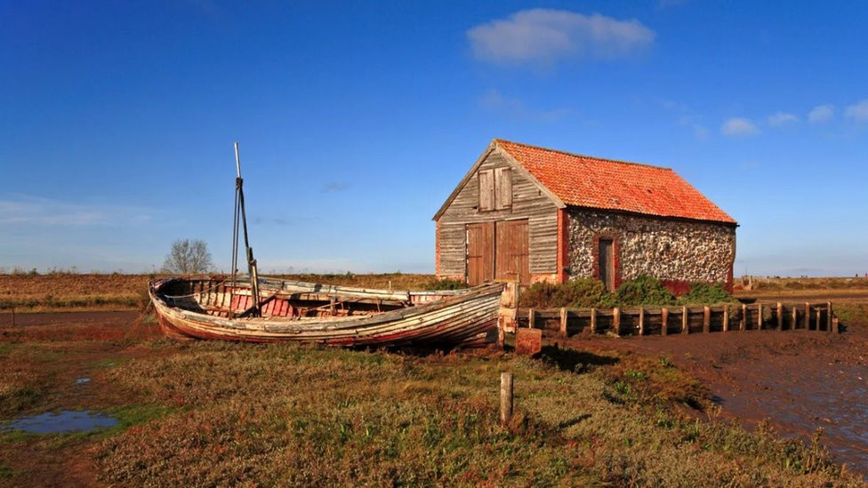 Salt marsh