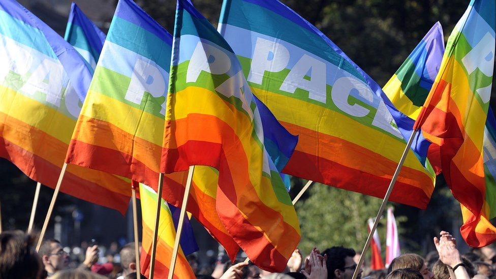 Parada ponosa