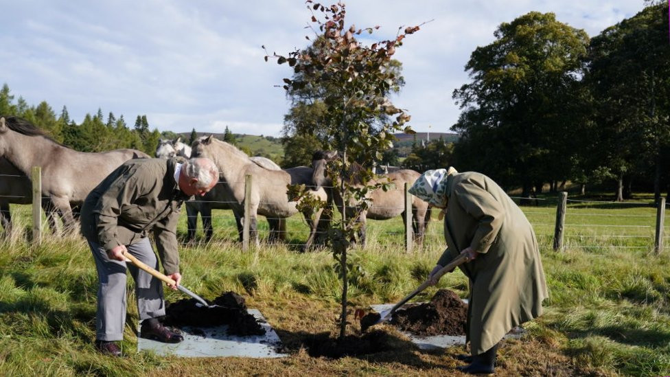 Princ Čarls i kraljica Elizabeta Druga sade drvo