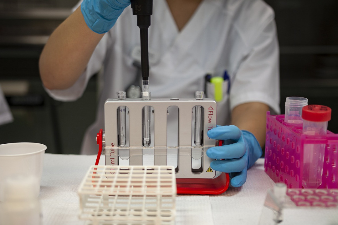 foto/ test koronavirus
