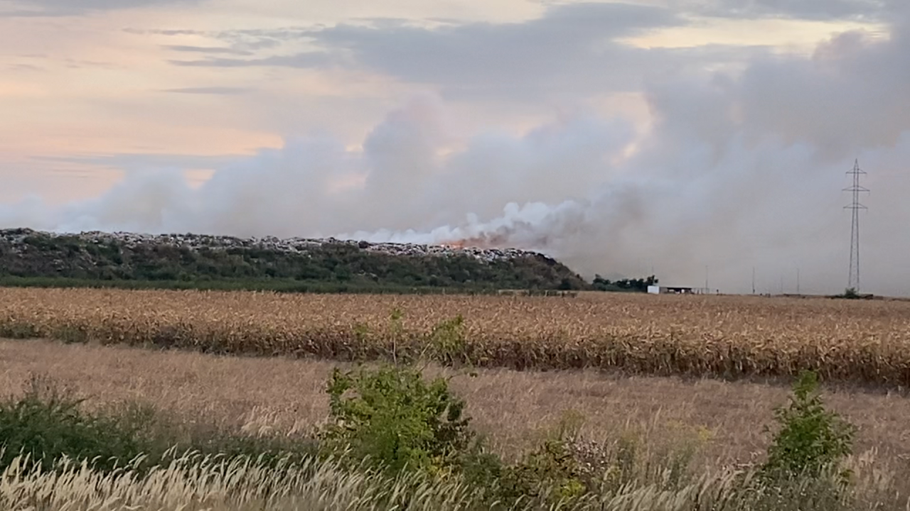 Foto: Boom93/M. Veljković