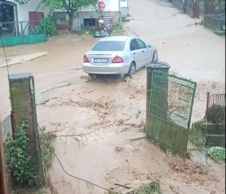 FOTO: M.Đorđević